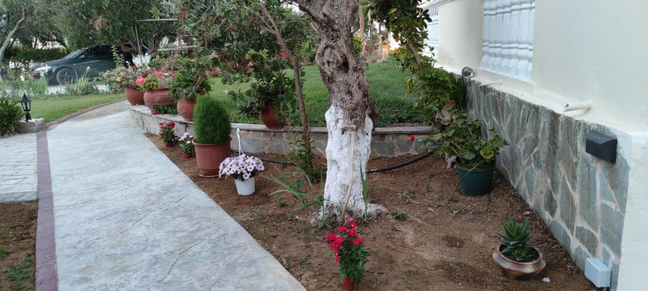 Zante Summer Retreats - Marietta'S Apartment2 Drosia Kypseli المظهر الخارجي الصورة