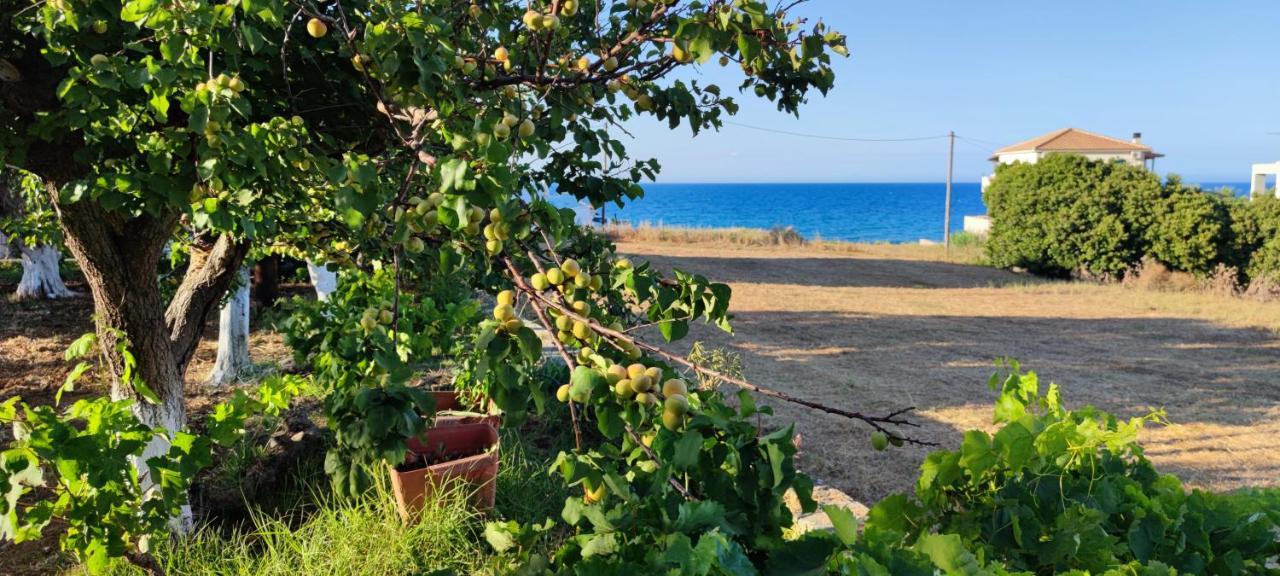 Zante Summer Retreats - Marietta'S Apartment2 Drosia Kypseli المظهر الخارجي الصورة