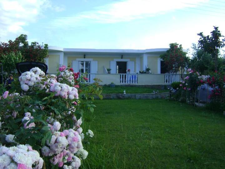 Zante Summer Retreats - Marietta'S Apartment2 Drosia Kypseli المظهر الخارجي الصورة